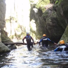 Canyoning Isère | Le Furon Haut – 1/2 Journée