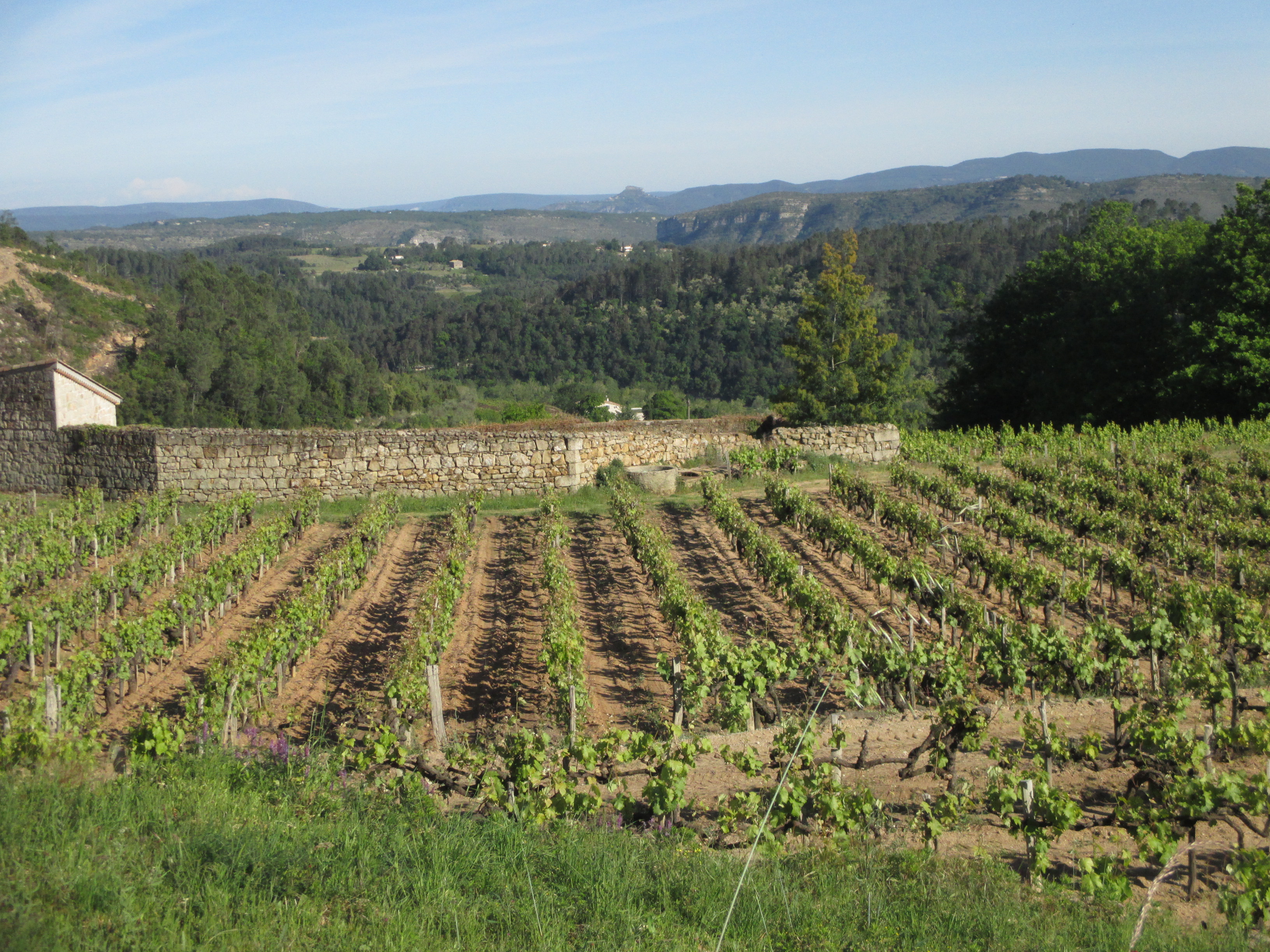Découvrez les produits emblématiques du terroir des Cévennes d’Ardèche